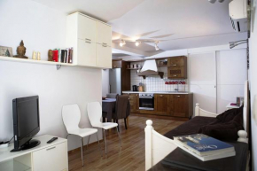 Apartment Roko